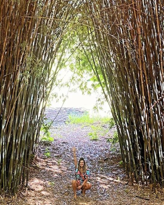 Recanto Dos Beija Flores, Chale Bougainville 南蒙蒂阿莱格里 外观 照片
